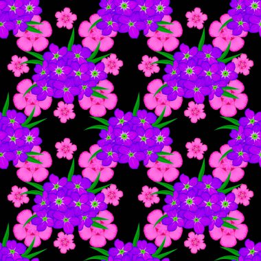 Şirin vektör çiçekli arka plan. Primula çiçekleri pürüzsüz desenli pembe, siyah ve mor renklerde.