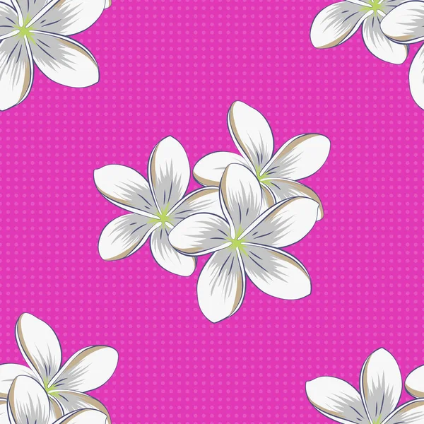 Vector Plumeria Flower Nahtloses Muster Grauen Magenta Und Grünen Farben — Stockvektor