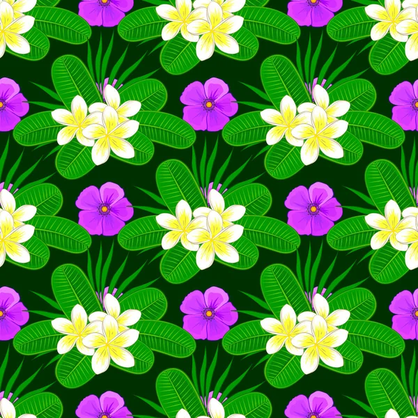 Ilustración Vectores Modelo Floral Sin Costuras Lindas Flores Plumeria Fondo — Vector de stock