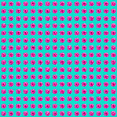 Mor, pembe ve mavi renklerde biçimlendirilmiş kozmos çiçekleriyle kusursuz çiçek deseni. Vektör illüstrasyonu.