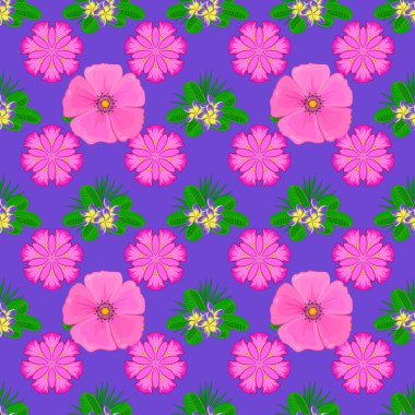 Güzel vektör dokusu. Eflatun arka planda sevimli kozmos çiçekleri olan kusursuz bir desen. Bahar mahsulü çiçek arkaplanı.