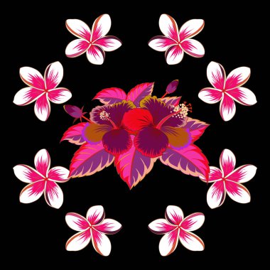 Aloha Hawaiian Shirt vektörü, dikdörtgen Hibiscus desenli Kırmızı, pembe ve morumsu arka plan üzerine.