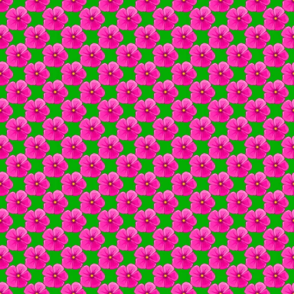 디자인을 아름다운 벡터물기 패턴입니다 우주에 무늬는 고전적 방식이다 자홍색 초록색으로 — 스톡 벡터
