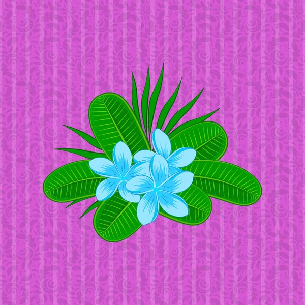 Belle Aquarelle Fleurs Plumeria Peinture Lumineuse Inspirée Estampe Florale Schéma — Image vectorielle