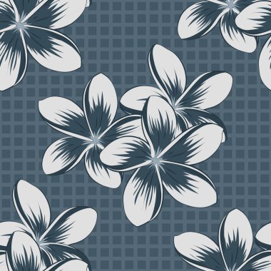 Şirin Plumeria çiçek deseni. Yeşil, gri ve mavi renkli vektör çiçek deseni. Çizgili arkaplanda suluboya desensiz.