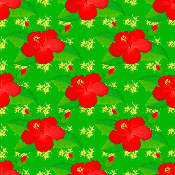 Безглазый Узор Симпатичными Цветками Гибискуса Зеленом Фоне Векторная Иллюстрация — стоковый вектор