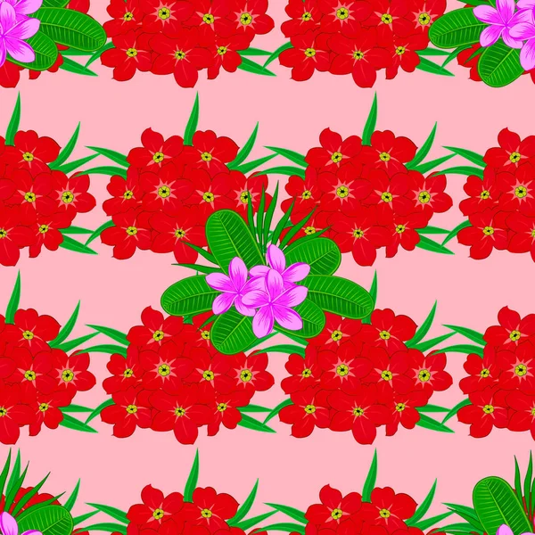 Naadloze Floral Pattern Een Roze Achtergrond Vector Primula Bloemen Naadloos — Stockvector