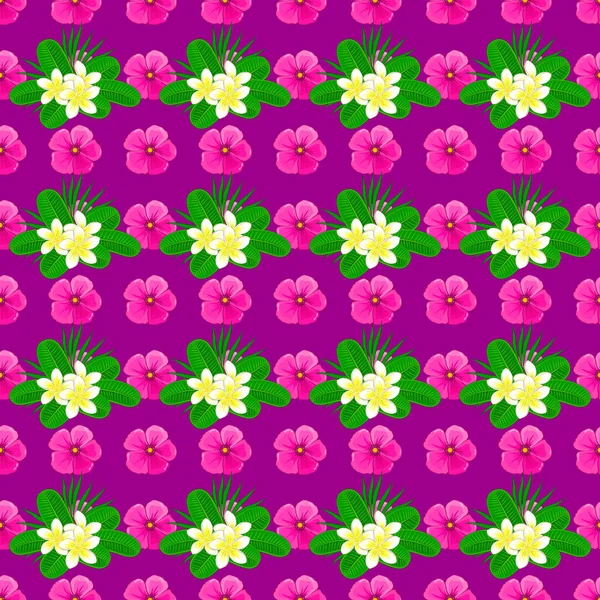 Κομψή Ταπετσαρία Λουλούδια Plumeria Αφηρημένο Διανυσματικό Φόντο Floral Απρόσκοπτη Μοτίβο — Διανυσματικό Αρχείο