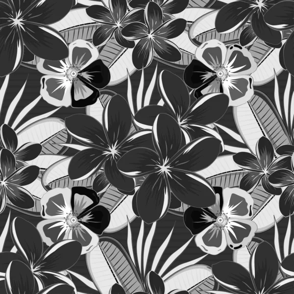 Zökkenőmentes Minta Dekoratív Nyári Plumeria Virágok Fekete Szürke Színekben Akvarell — Stock Vector