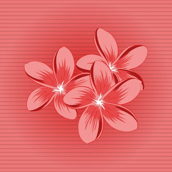 Hermoso Patrón Decoración Diseño Modelo Exquísito Con Flores Plumeria Estilo — Vector de stock