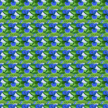 Renksiz çiçek vektör deseni 