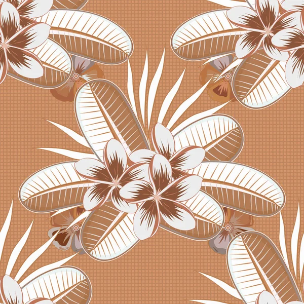 Padrão Sem Costura Floral Papel Primavera Com Flores Plumeria Bonito — Vetor de Stock