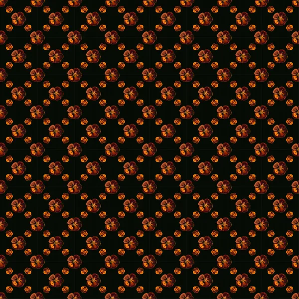 Vektorillustration Sömlös Blommönster Med Stiliserade Kosmos Blommor Orange Brun Och — Stock vektor