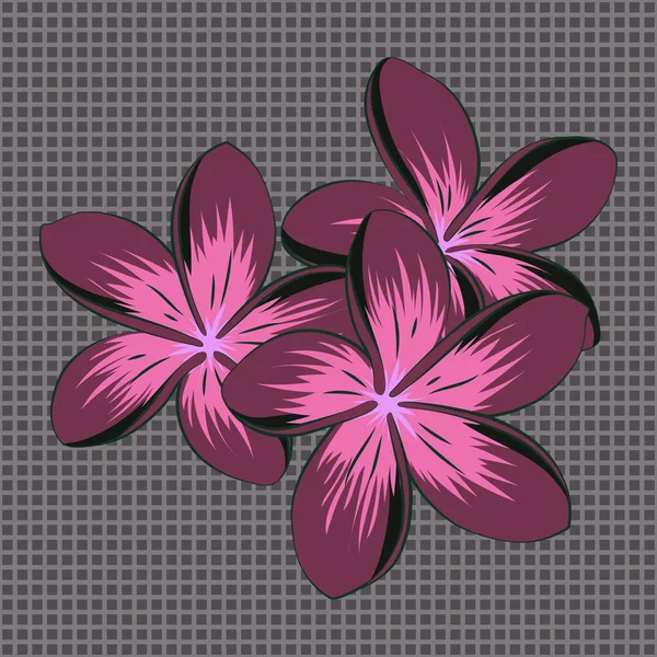 Ilustración Vectores Modelo Floral Sin Costuras Con Flores Plumeria Estilizadas — Archivo Imágenes Vectoriales