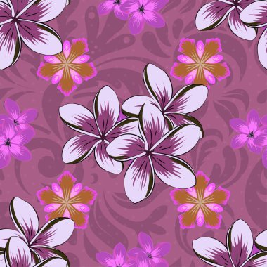 Geleneksel dikişsiz şal deseni. Kumaş, tekstil ve ambalaj kağıtları için dekoratif süs. Mor, mor ve morumsu çiçek resimleri. Plumeria çiçeğiyle vektör çizgili, pürüzsüz desen