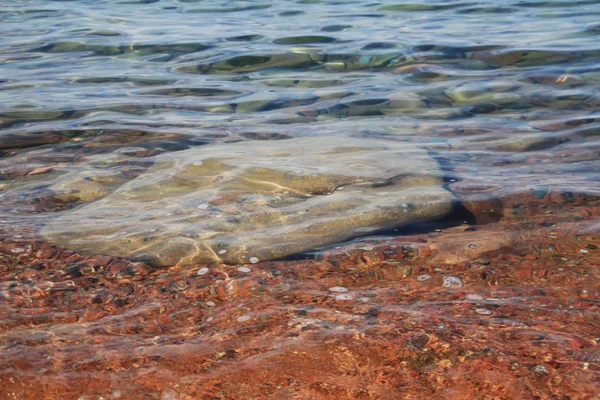 deniz dibinin taşı