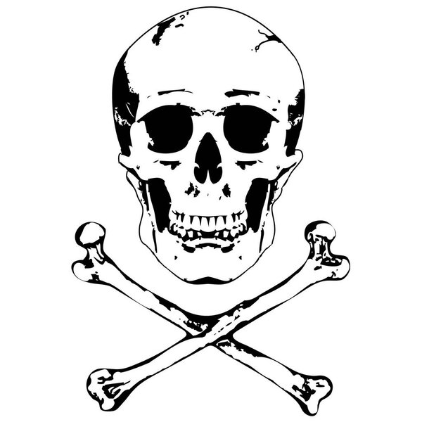 Skull and crossbones vector