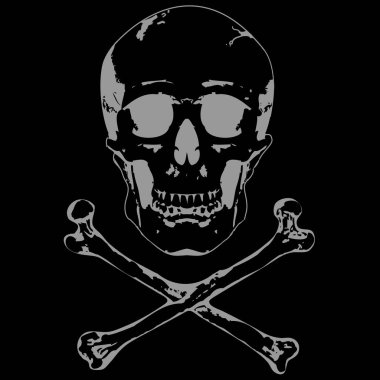 Kafatası ve kemiklerin vektör 2