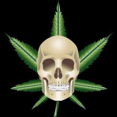 Kafatası Ganja vektör