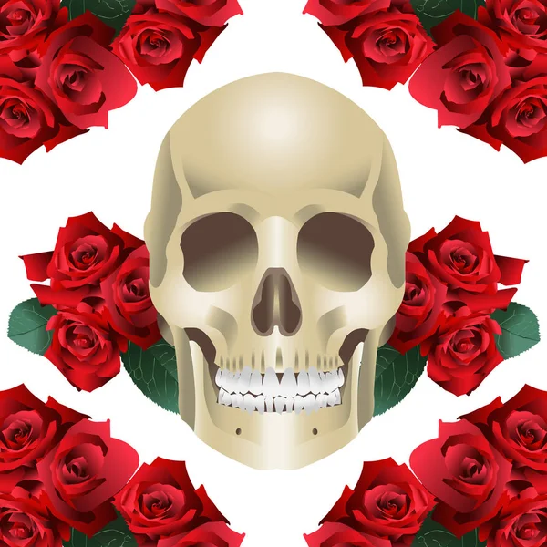 Ανθρώπινο Κρανίο Μοντέρνο Στυλ Και Τριαντάφυλλα Λευκό Φόντο — Διανυσματικό Αρχείο