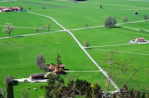 Hava fotoğrafçılığı kırsal kesişme noktası ve yeşil çimenler.