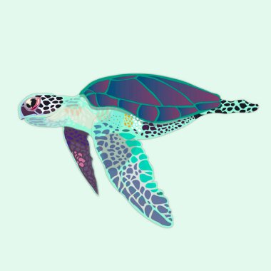  Küçük kaplumbağa. Çocuk çizimi. Çizgi film çizimi. Çizgi film kaplumbağası.