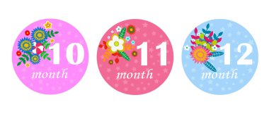 Üzerinde çiçekler ve numaralar olan bir dizi dönüm noktası çıkartması. Yeni doğan ay çıkartmaları koleksiyonu. Beyazda izole edilmiş. 10-12 ay..