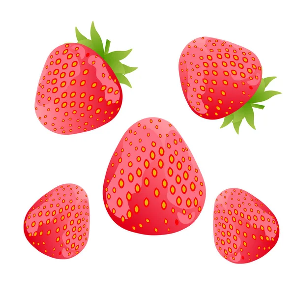 浅色红草莓艺术套件 — 图库矢量图片