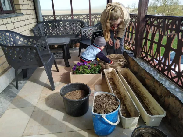 お母さんと小さな息子はテラスでスリニアの花を移植します ストックフォト