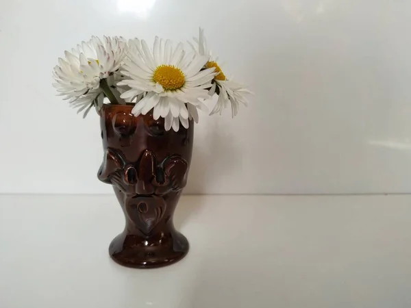 Marguerites blanches dans un vase fantaisie — Photo