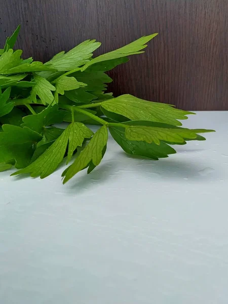 Wet green celery leaves lie on a white table — Stock Photo, Image