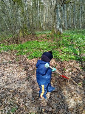 Kırmızı bahçe tırmığı toplayan küçük çocuk geçen yıl ormanda düşen yaprakları topluyor.