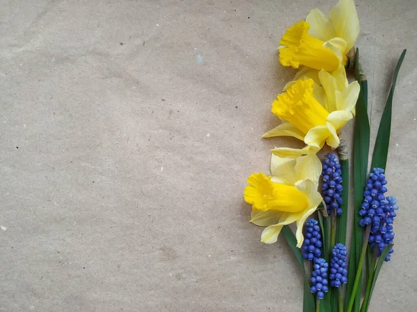 Sárga nárciszok és kék kis harangok elrendezése kézműves újrahasznosított papíron Stock Kép