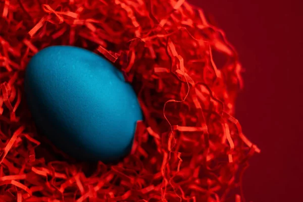 Kırmızı yuva görünümlü makro arka planda mavi Paskalya yumurtası