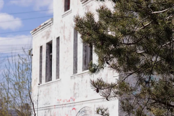 Camsız terk edilmiş bir ev, etrafta bir yığın çöp. ön planda dallar ve çam ağaçlarında