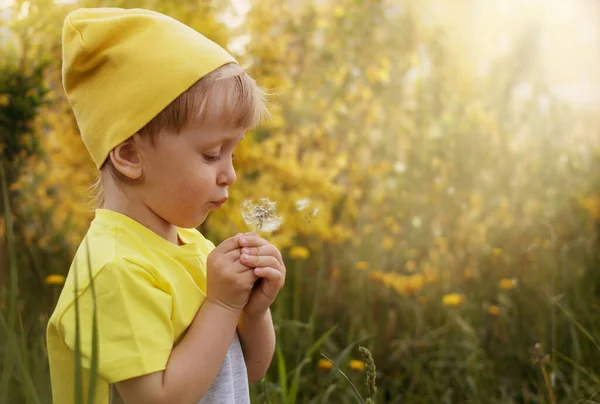 Çocuk elinde bir karahindiba tutuyor.