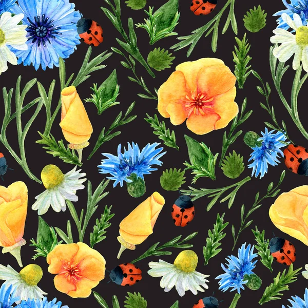 Textura sem costura de flores de prado de verão aquarela, joaninhas — Fotografia de Stock