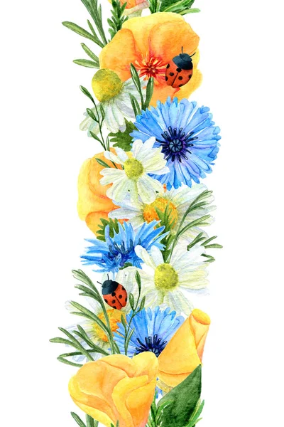 Borda Vertical Sem Costura Flores Prado Verão Aquarela Ervas Padrão — Fotografia de Stock