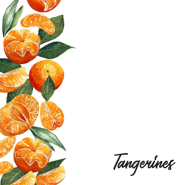 Sablon Akvarell Gyümölcsmintával Háttér Friss Világos Mandarin Hámozott Szeletek Levelek — Stock Fotó