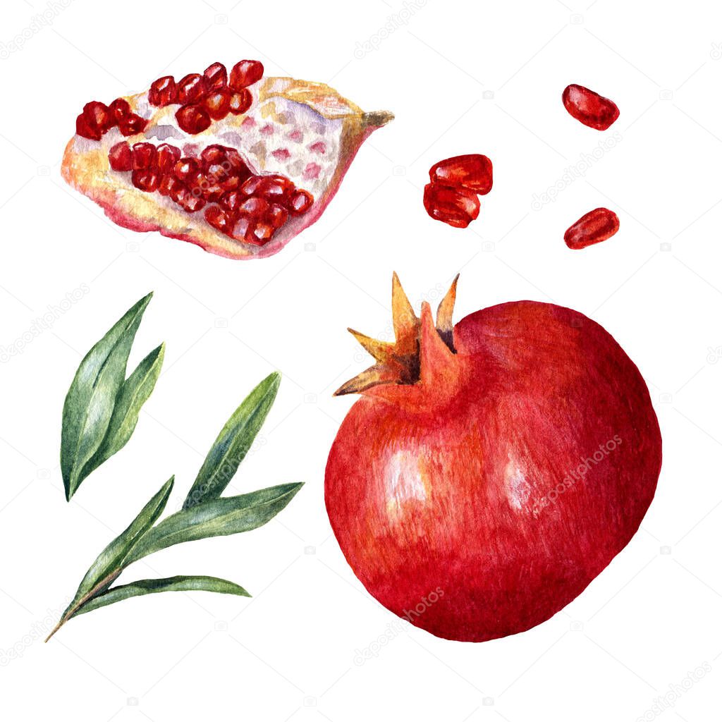 Set of watercolor tropical fruits - pomegranates and leaves. Collection of decorative hand drawn elements. Garnet, slice, seeds and greenery for design isolated on white background
