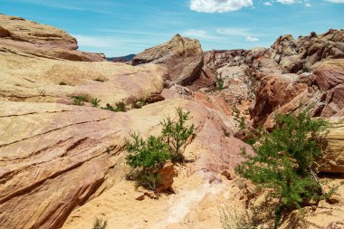 Ateş Vadisi Parkı 'ndaki kaya yapısı yıllar boyunca rüzgâr ve hava koşullarıyla şekillendi.