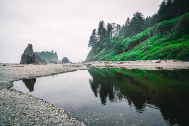 Sabah sisi boyunca terk edilmiş bir sahilin manzarası.