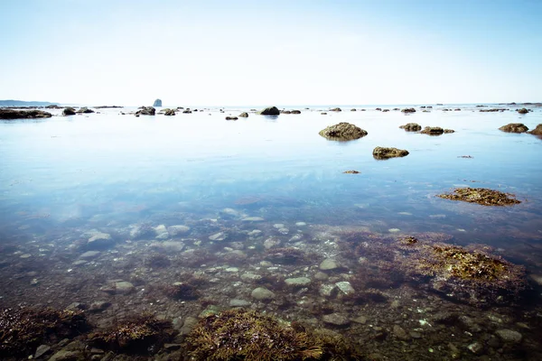 Yazın mavi gökyüzü ve bir sürü kayayla mavi Pasifik Okyanusu kıyılarının güzel manzarası.