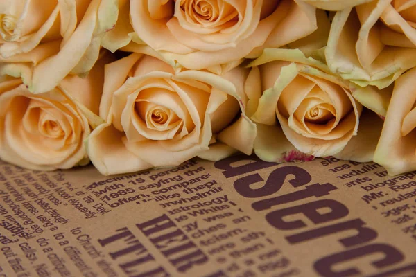 Muchas rosas beige natural fondo en un periódico — Foto de Stock