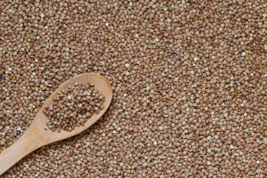 Buğday tahıl ve tahta kaşık veya gıda arka plan. Organik buğday.