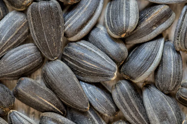 Black sunflower seeds. For texture or background — Stock Photo, Image