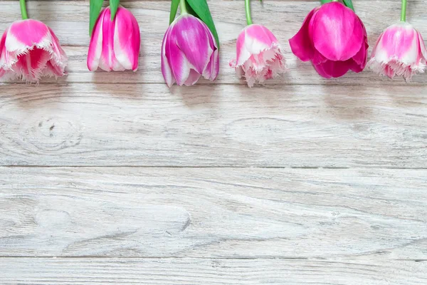 Hermosos tulipanes sobre un fondo de madera gris. Vista superior — Foto de Stock