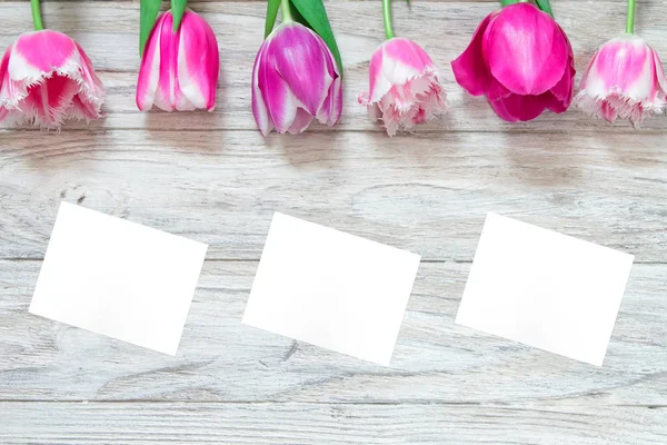Hermosos tulipanes sobre un fondo de madera gris y papel blanco. Vista superior — Foto de Stock