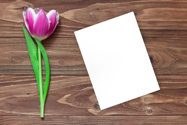 Un tulipán y un papel blanco sobre un fondo de madera — Foto de Stock