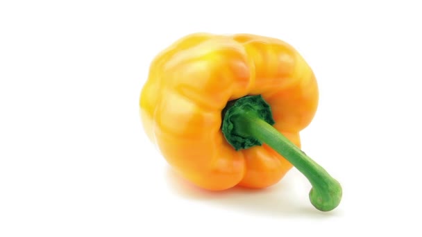 Organic Yellow Pepper 360 degree turning on the white background. Full HD loop video. Fresh and healthy organic food — Stock Video